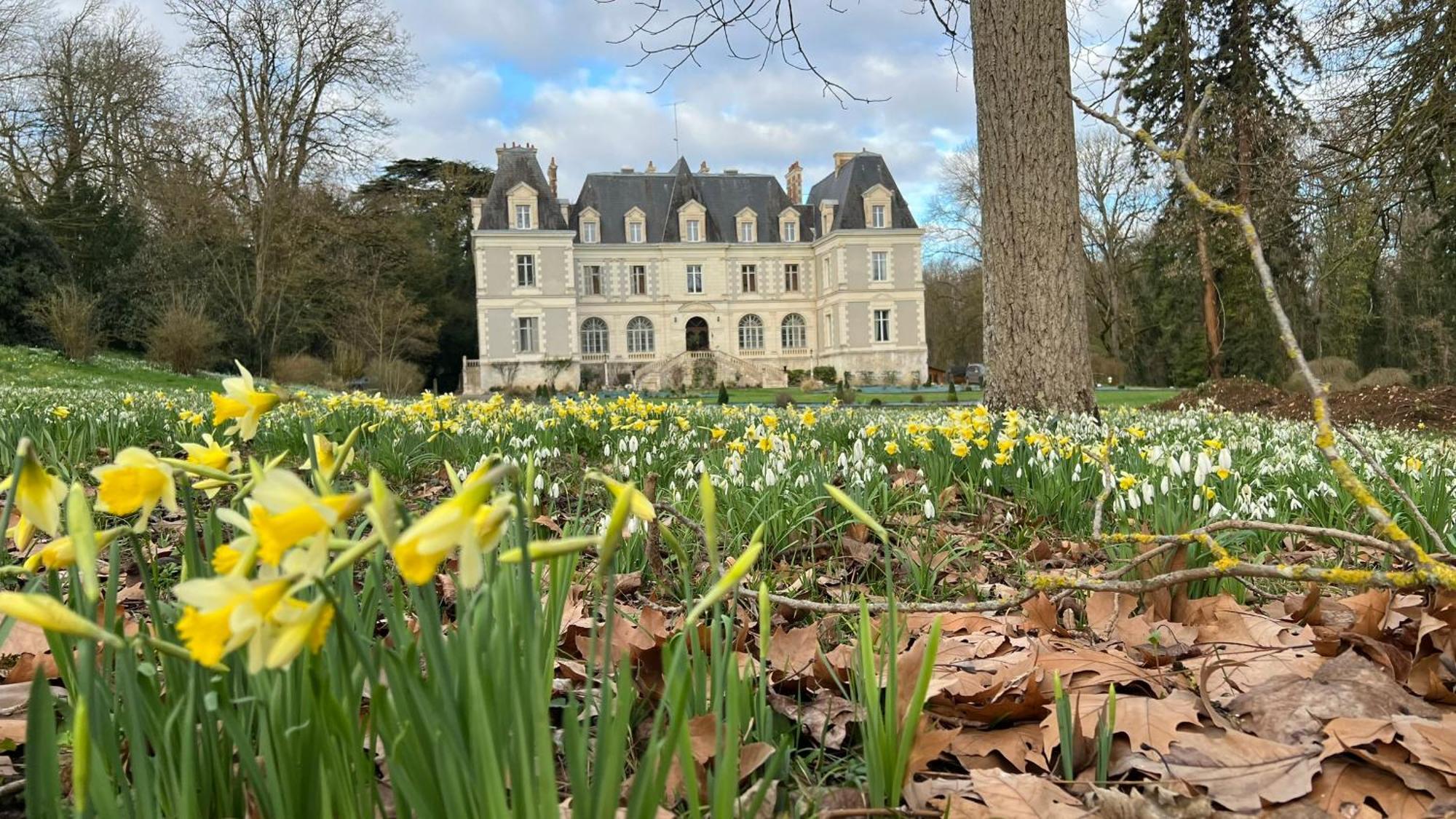 Chateau De Saint-Bohaire Bagian luar foto