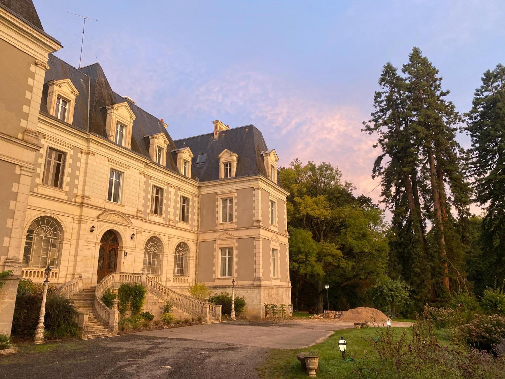 Chateau De Saint-Bohaire Bagian luar foto