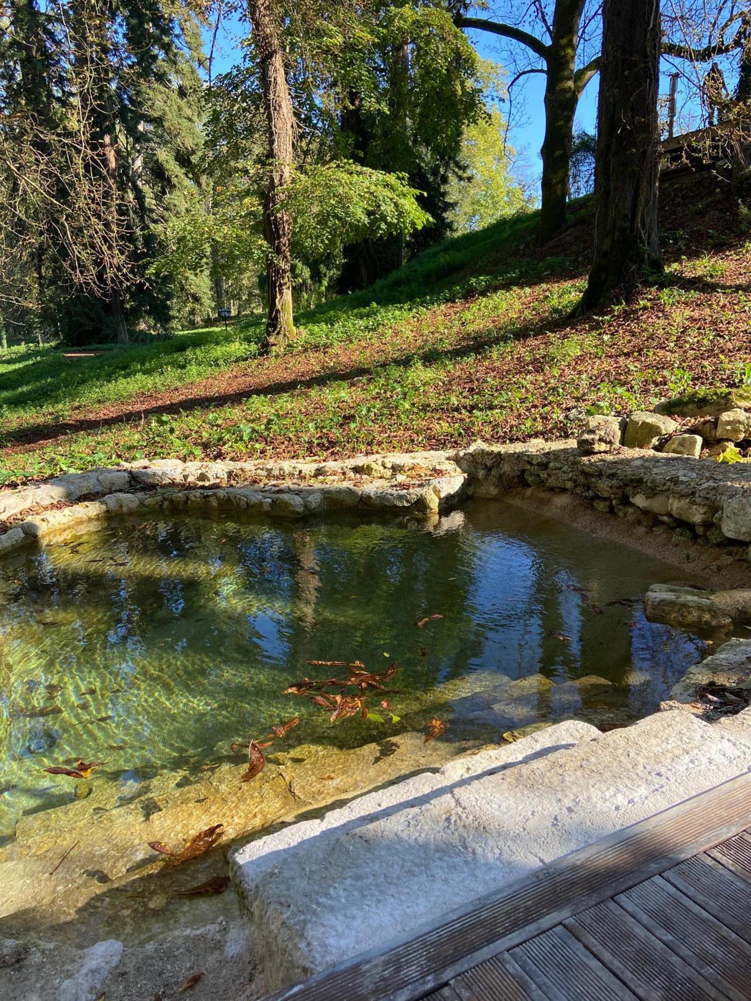 Chateau De Saint-Bohaire Bagian luar foto