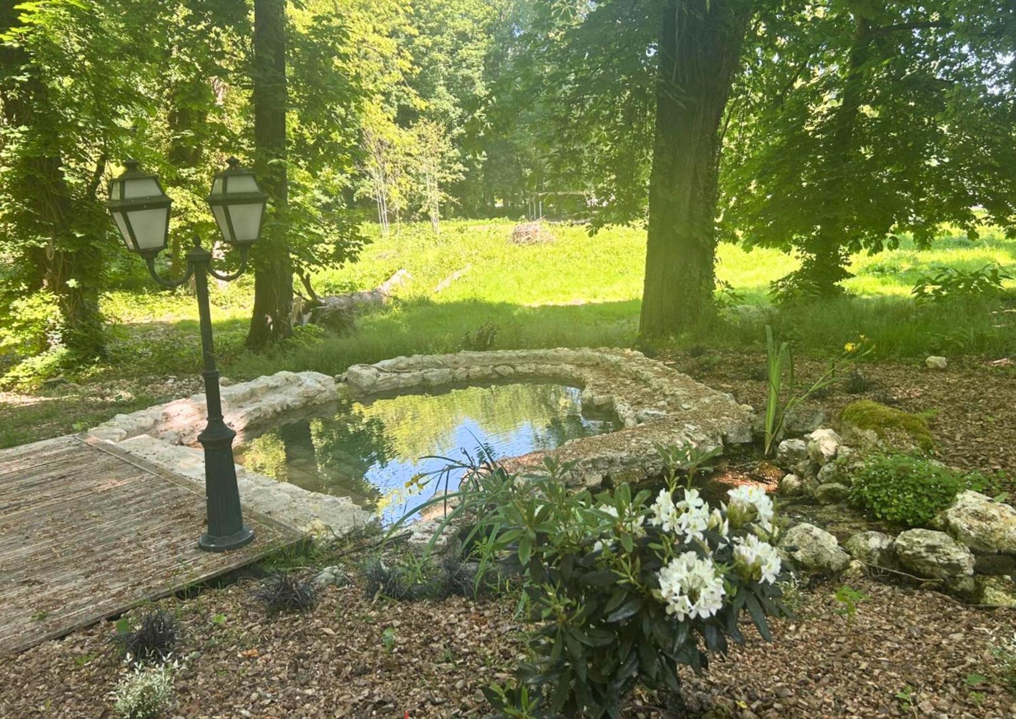 Chateau De Saint-Bohaire Bagian luar foto