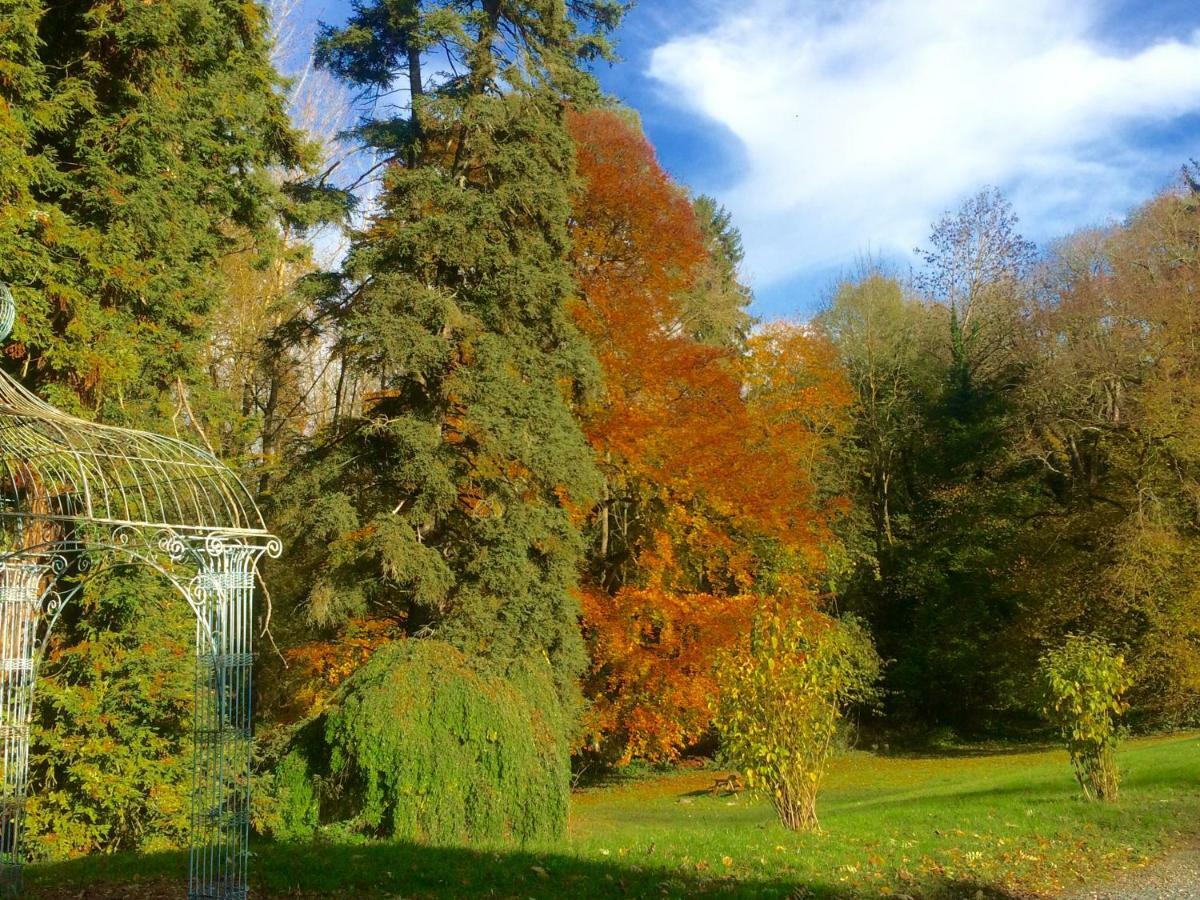 Chateau De Saint-Bohaire Bagian luar foto